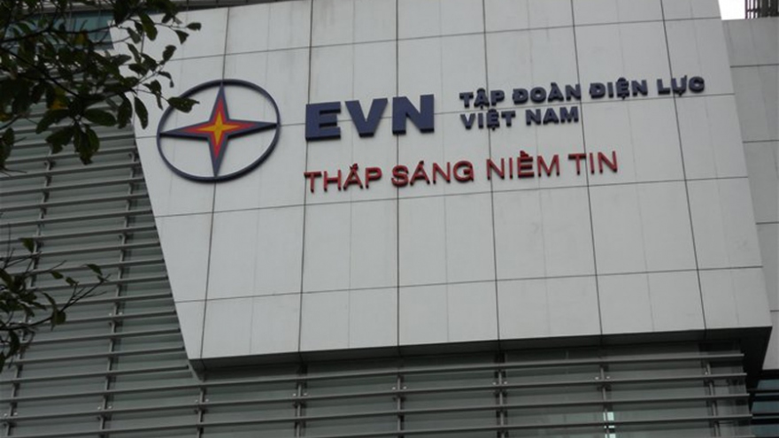 EVN strives to become major economic group by 2030